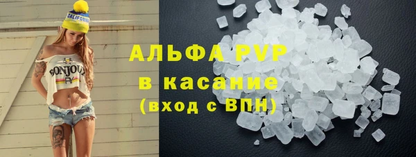 стаф Баксан
