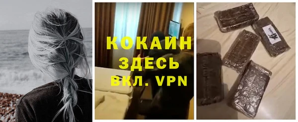 прущие грибы Белоозёрский